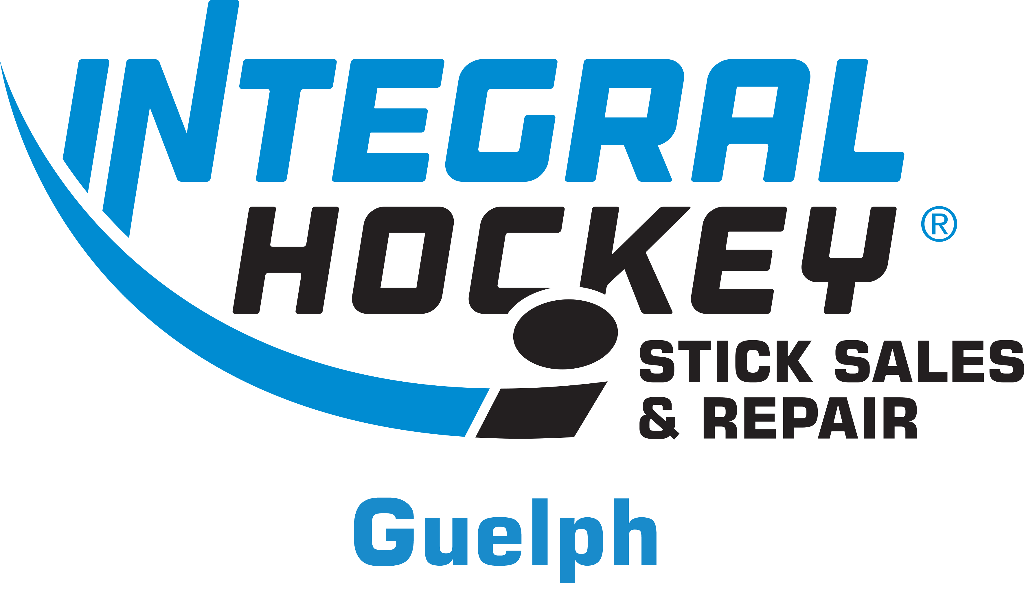 Integral Hockey Stick Sales & Repair Guelph Logo